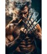 Placa Decorativa Wolverine Metálica Cuadro Póster HD