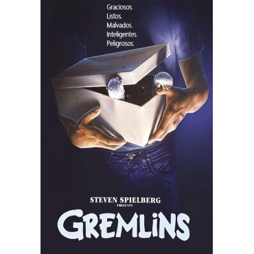 Placa Decorativa Los Gremlins Metálica Cuadro Póster HD 