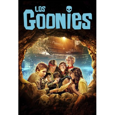 Placa Decorativa Los Goonies Metálica Cuadro Póster HD