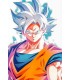 Placa Decorativa Fantastic Son Goku Metálica Cuadro Póster HD