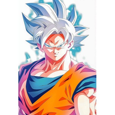 Placa Decorativa Fantastic Son Goku Metálica Cuadro Póster HD