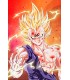 Placa Decorativa Super Majin Vegueta Metálica Cuadro Póster HD