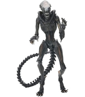 Figura Scorched Xenomorph Alien Romulus Articulada 23 cms
