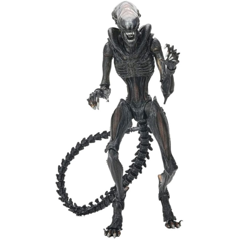 Figura Scorched Xenomorph Alien Romulus Articulada 23 cms