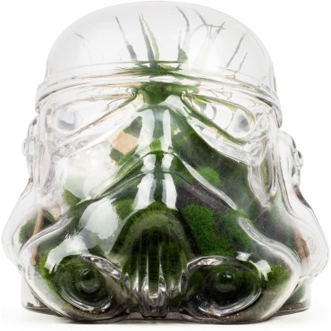 Recipiente Galletero o Terrario Stormtrooper Star Wars Original Stormtrooper Cristal 