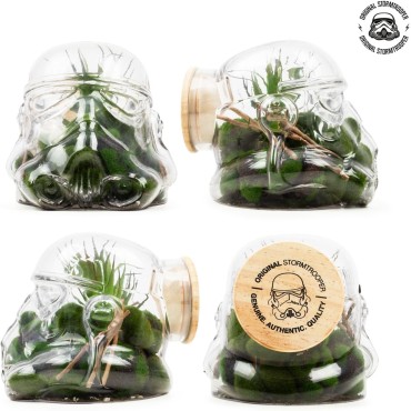 Recipiente Galletero o Terrario Stormtrooper Star Wars Original Stormtrooper Cristal 