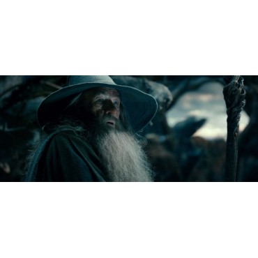 EL HOBBIT: LA DESOLACIÓN DE SMAUG (BLU-RAY 3D+2D)+COPIA DIGITAL