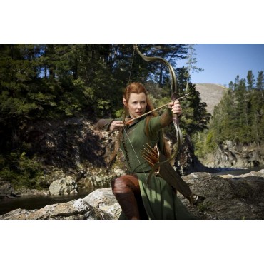 EL HOBBIT: LA DESOLACIÓN DE SMAUG (DVD+BLU-RAY)+COPIA DIGITAL