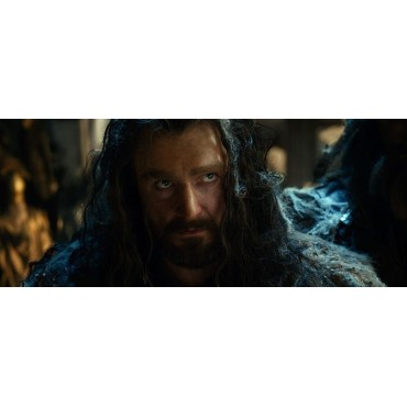 EL HOBBIT: LA DESOLACIÓN DE SMAUG (DVD+BLU-RAY)+COPIA DIGITAL