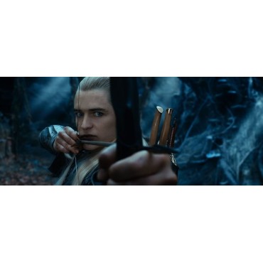 EL HOBBIT: LA DESOLACIÓN DE SMAUG (DVD+BLU-RAY)+COPIA DIGITAL