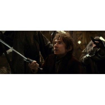 EL HOBBIT: LA DESOLACIÓN DE SMAUG (DVD+BLU-RAY)+COPIA DIGITAL