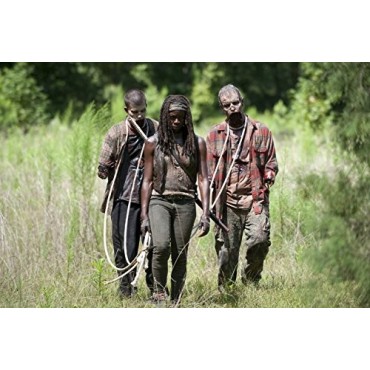 The Walking Dead: Temporada 4 [Blu-ray] (1981) The Walking Dead