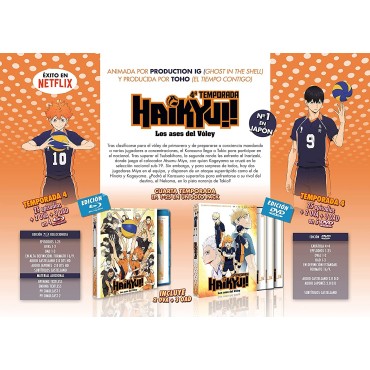 Haikuy Temporada 4 (Episodios 1 a 25 + 5 OVA) DVD [DVD]