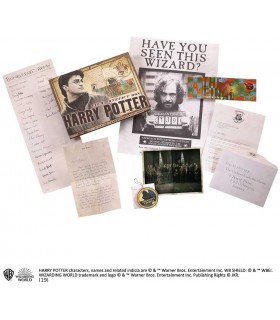 Cofre Harry Potter Artefactos