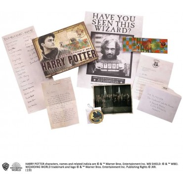 Cofre Harry Potter Artefactos