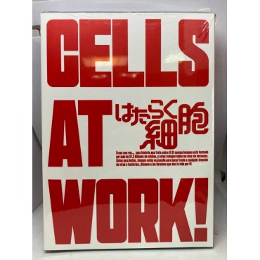 Cells At Work! (Vol. 1 +2 Primera Temporada Completa) [DVD] (2018) Hataraku Saibou