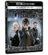 Animales fantásticos 2: Los crimenes de Grindelwald (4K UHD + Blu-ray) [Blu-ray]