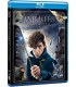 Animales fantásticos 1: Y dónde encontrarlos (Blu-ray) [Blu-ray]