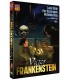 VICTOR FRANKENSTEIN (DVD)