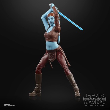 Figura Aayla Secura El Ataque de los Clones Star Wars: Attack of the Clones The Black Series Articulada 15 cms