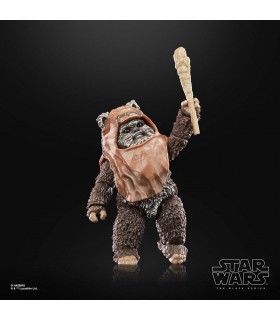 Figura Wicket Ewok Star Wars Return of the Jedi The Black Series Articulada 7,5 cms