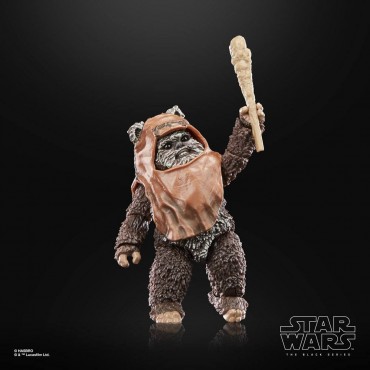 Figura Wicket Ewok Star Wars Return of the Jedi The Black Series Articulada 7,5 cms