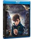 Animales Fantásticos Y Dónde Encontrarlos [Blu-ray]
