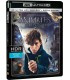 Animales Fantásticos Y Dónde Encontrarlos Blu-Ray Uhd [Blu-ray]