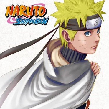 Naruto Shippuden Box6 DVD [DVD]