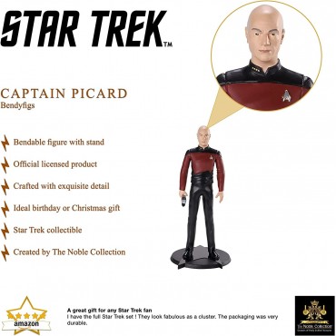 Figura Picard Star Trek La Nueva Generación 19 cms