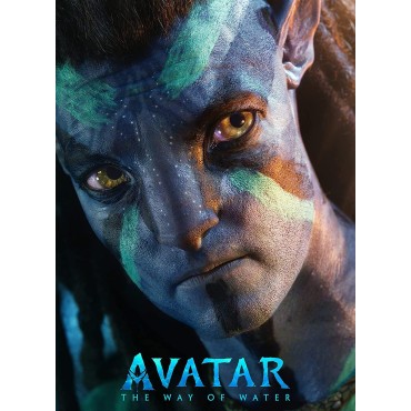 Avatar: El Sentido del Agua (Avatar: The Way of Water) (DVD) [DVD]