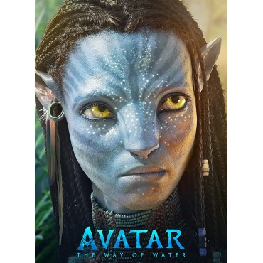 Avatar: The Way Of Water [DVD]