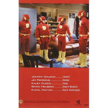 Big Bang Theory: Complete First Season (3 Dvd) [USA] [DVD] 