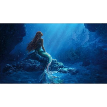 The Little Mermaid [DVD]