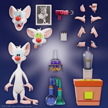 Figura Pinky Ultimate Animaniacs Articulada 18 cms