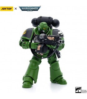 Figura Salamanders Intercessors Brother Haecule Warhammer 40000 Articulada 12 cms