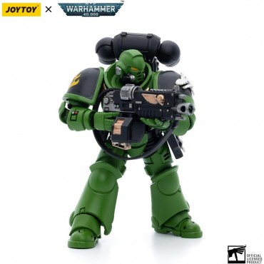 Figura Salamanders Intercessors Brother Haecule Warhammer 40000 Articulada 12 cms