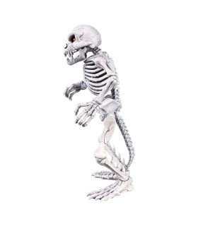 Figura Rat Bones Battletoads Articulada 18 cms