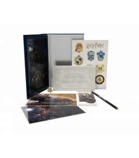 Libro Metálico Con Accesorios Harry Potter Y La Piedra Filosofal