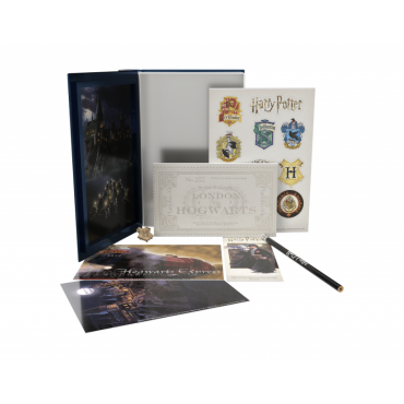 Libro Metálico Con Accesorios Harry Potter Y La Piedra Filosofal