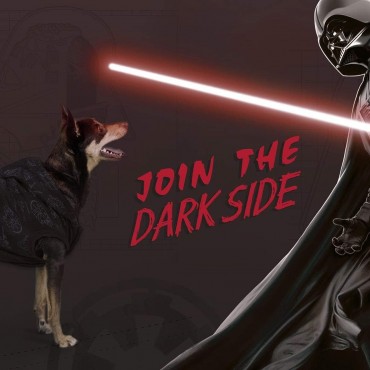 Sudadera Para Perros Darth Vader S Star Wars