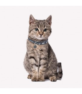 Collar Premium Para Perros Darth Vader Star Wars XXS/XS