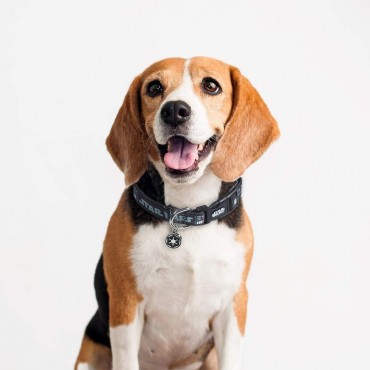 Collar Premium Para Perros Darth Vader Star Wars XXS/XS