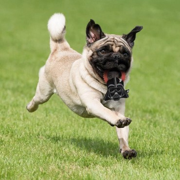 Mordedor Para Perros Darth Vader Star Wars