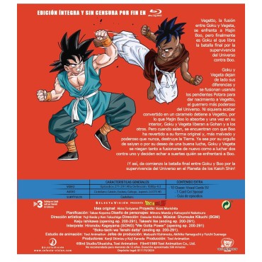 Dragon Ball Z. Box 14 (Ep. 271 a 291) [Blu-ray] (1989)