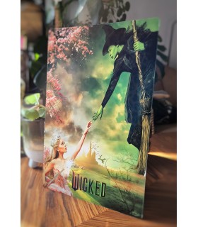Placa Decorativa Wicked Elphaba Y Glinda Aluminio Metálica Cuadro Póster HD