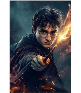 Placa Decorativa Harry Potter Hechizo Metálica Cuadro Póster HD