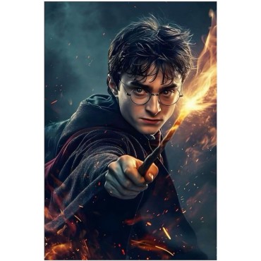 Placa Decorativa Harry Potter Hechizo Metálica Cuadro Póster HD