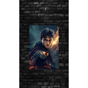 Placa Decorativa Harry Potter Hechizo Metálica Cuadro Póster HD
