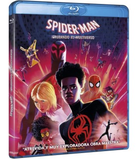 Spider-Man: Across The Spider-Verse [BLU_RAY]